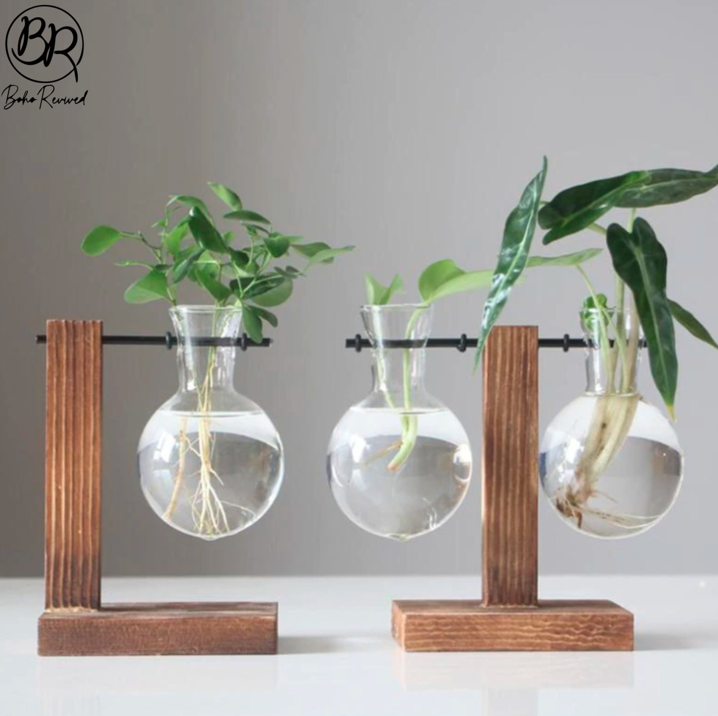 Glass Propagation Vase Bulbs With Wood Stand Stylish and Etsy UK