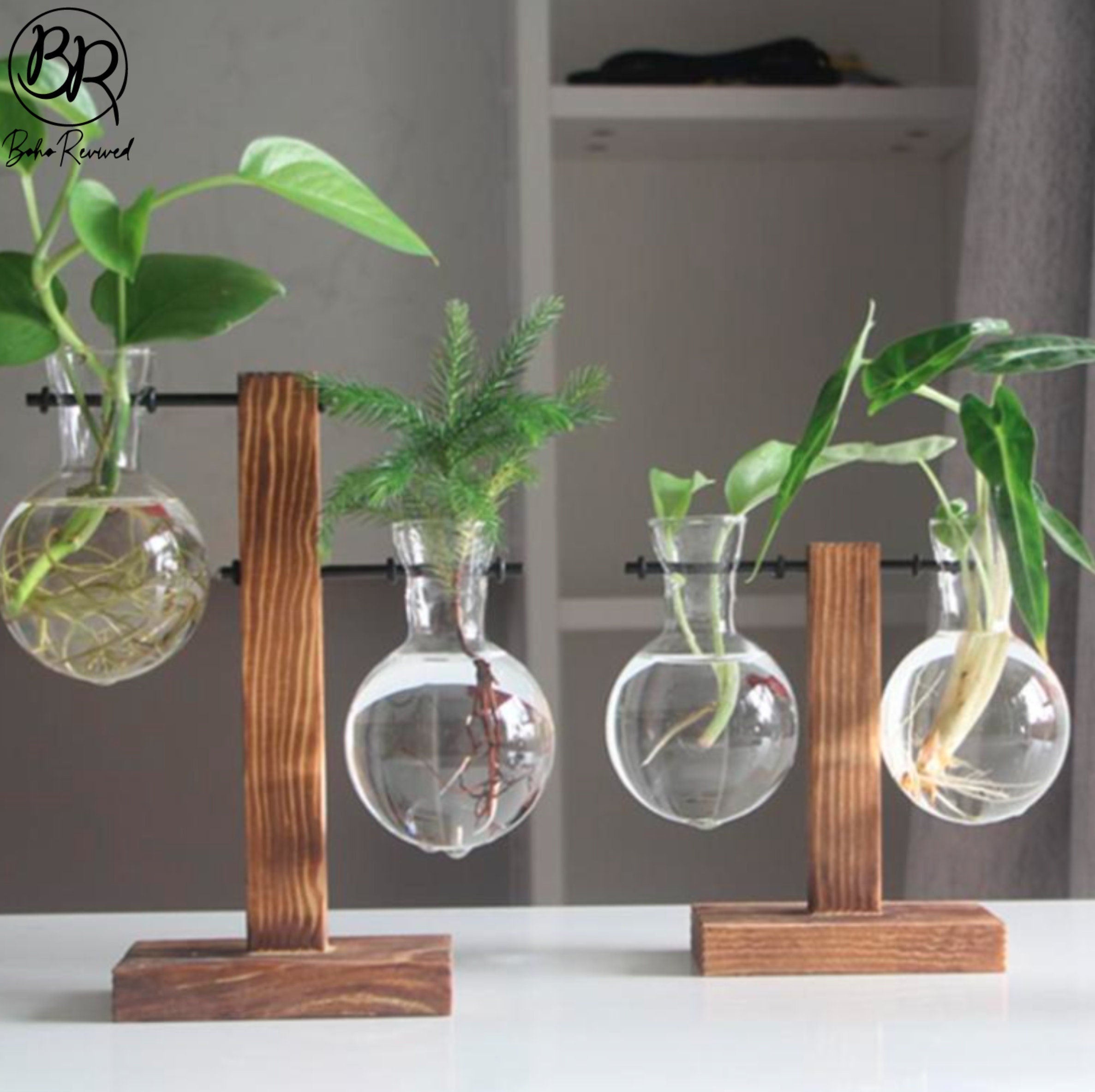 Glass Propagation Vase Bulbs With Wood Stand Stylish and Etsy UK