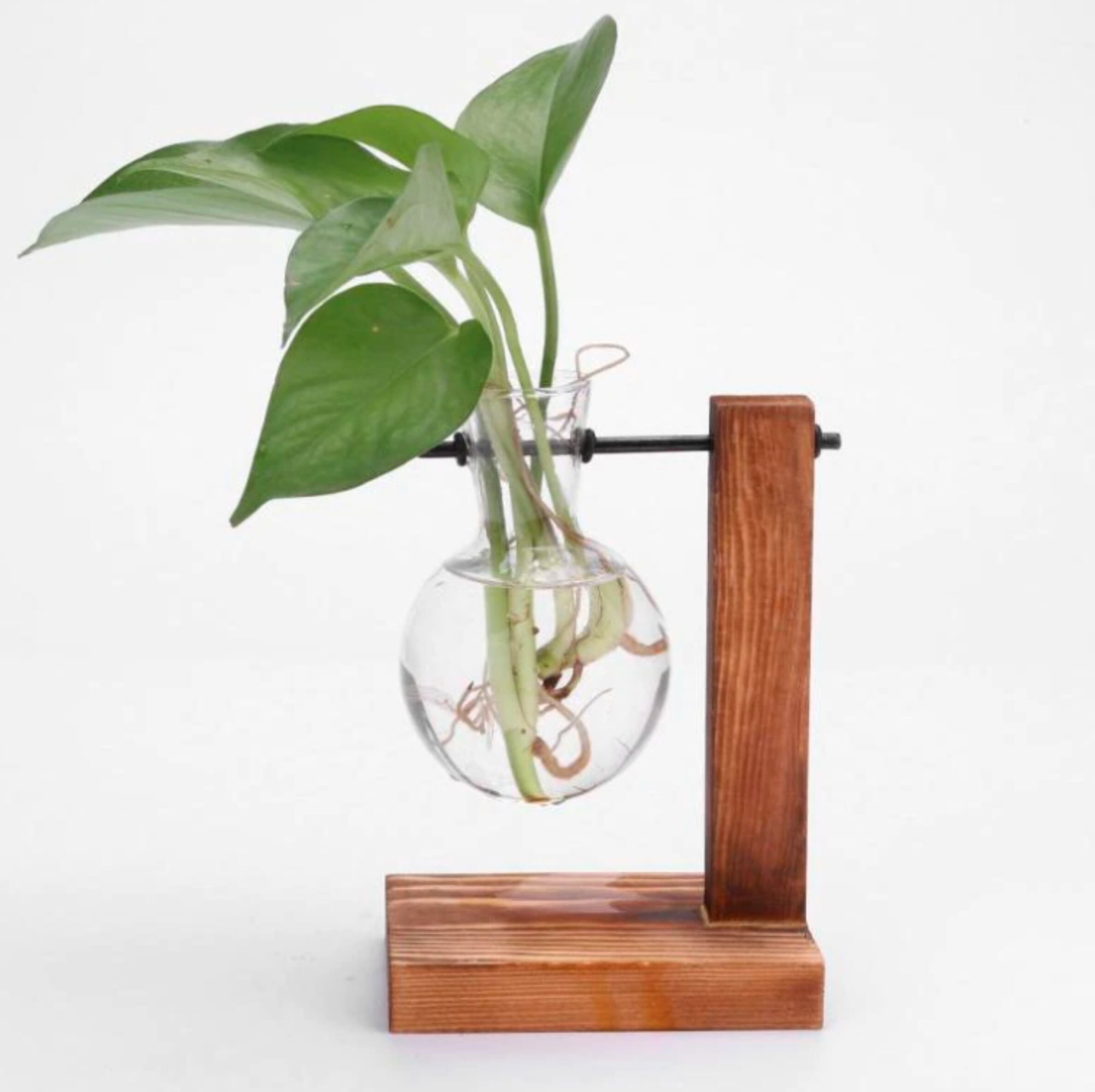 Glass Propagation Vase Bulbs With Wood Stand Stylish and Etsy UK