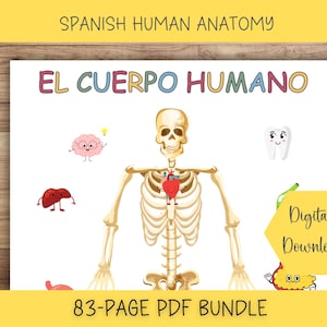 SPANISH Human Anatomy Busy Book Printable Preschool Worksheets Homeschool Anatomy Preschool Curriculum Learning Activities Montessori