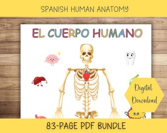 Spanish Human Anatomy Busy Book, Preschool Learning (Digital Download)
