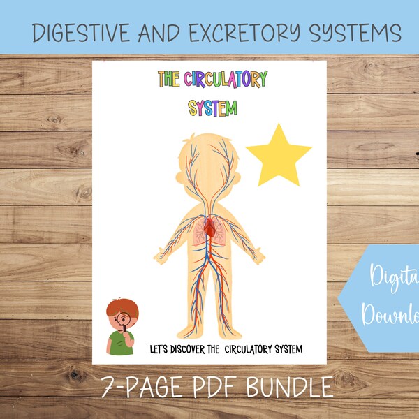Human Anatomy Busy Book Printable Preschool Worksheets Etsy Australia