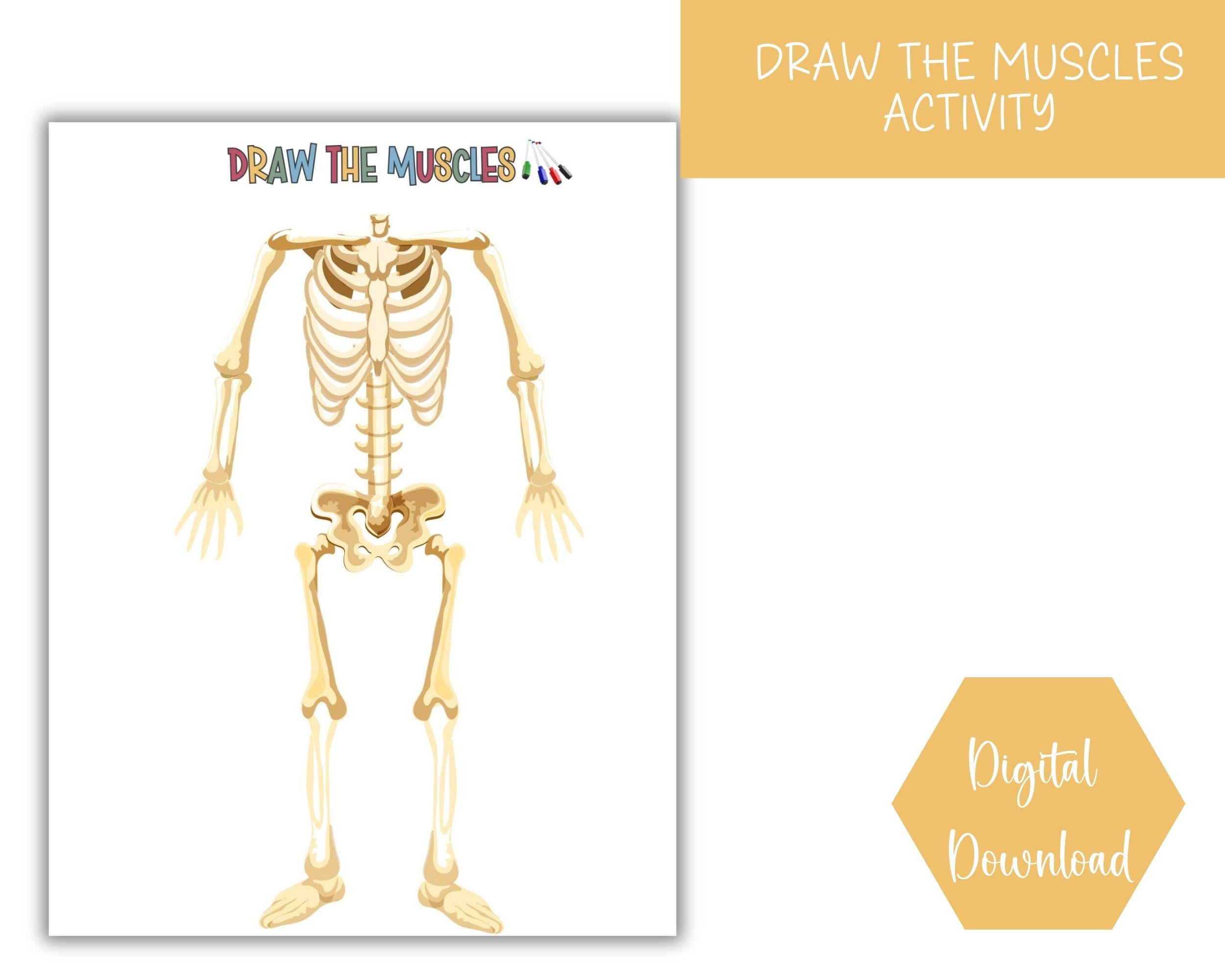 Muscular System Busy Book Printable Quiet Book Human Anatomy for Kids ...