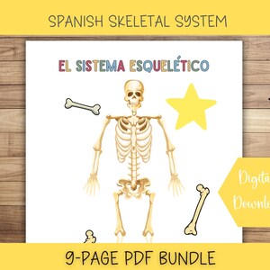 SPANISH Human Skeleton Busy Book Page, Printable Montessori Materials, Educational Prints, Printable Worksheets, Preschool, Bones, Toddler