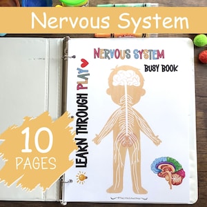 May include: A 10-page busy book for kids about the nervous system. The cover features a colorful illustration of a human body with the nervous system highlighted. The title of the book is "Nervous System Busy Book" and the subtitle is "Learn Through Play".