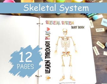 Människans anatomi - Skelettsystemet, Kroppsdelar, Anatomi Busy Book, Förskoleläroplan, Tidig Grundskola, Hemundervisningsaktivitet, PDF