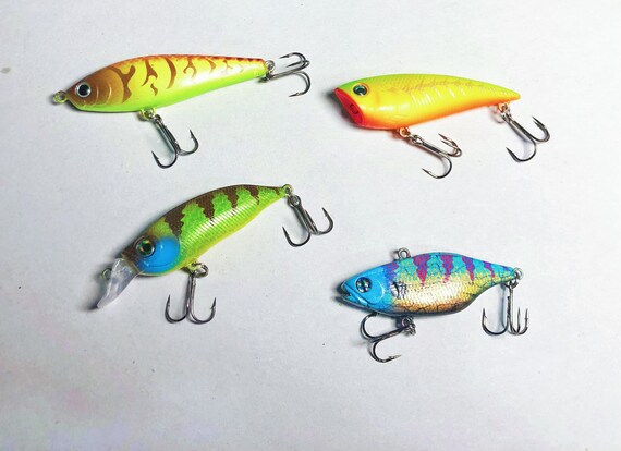 Custom Painted Crankbait, Bass Fishing Bait, Topwater Popper Lure, Novelty  Fishing Gift 