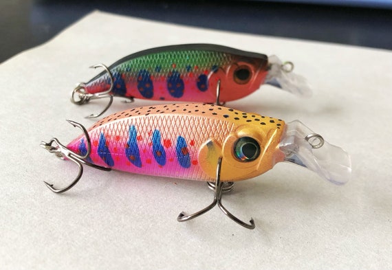 Custom Painted Crankbait Rainbow Trout & Brook Trout Rattling