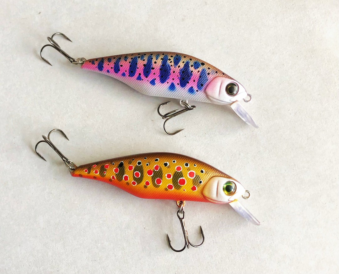 Custom Painted Jerkbait Rainbow Trout & Brown Trout Rattling Etsy