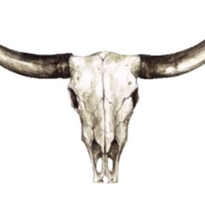 Watercolor bull skull - PNG, JPEG - Sublimation, Clipart