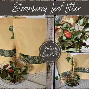 May include: Two brown paper bags with a clear window showing dried strawberry leaves and a small bowl of dried strawberry leaves. The bags have a label that says "Sister Seeds".