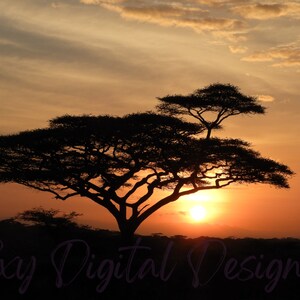 Sunset on the Serengeti Digital Print downloadable photo
