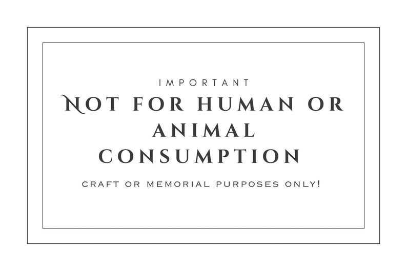 Breast Milk Preservation Powderbulk Etsy