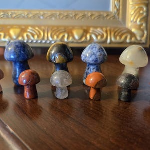 Mini Crystal Mushrooms – Hand-Carved Gemstone Toadstools in Blue Aventurine, Tiger’s Eye, Carnelian, Fluorite, Moss Agate & More
