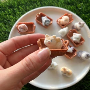 Puede incluir: Una colecci&oacute;n de figuras de gatos en miniatura en peque&ntilde;as cestas marrones, expuestas en un plato blanco. Los gatos son de varios colores, incluyendo blanco, gris y beige. La imagen est&aacute; tomada desde una perspectiva de primer plano, destacando los detalles de las figuras.