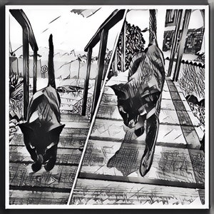 Black & White Black Cat Digital Art Files (5 Options)