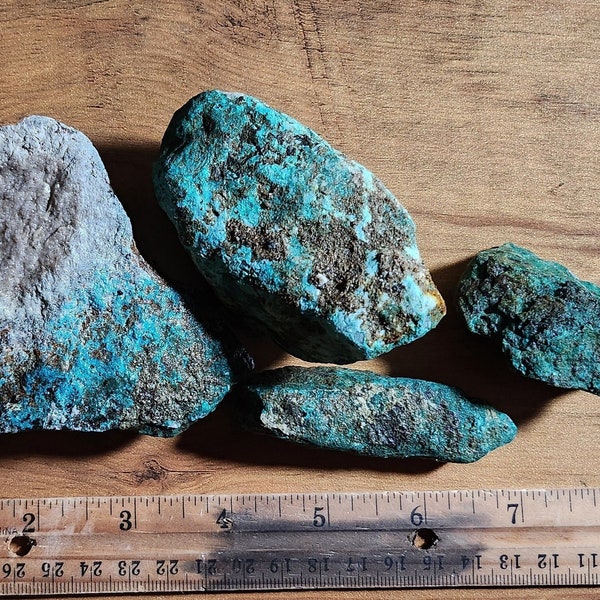 1 lb 4 oz Malachite and Chrysocolla Mineral Display Set of 4 Sample Pack from Arizona