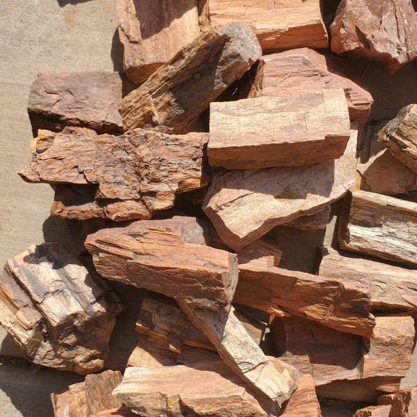 2-3 oz Beautiful Raw Natural Petrified Wood from Northern Arizona