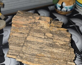 4.3 lb Petrified Wood: Natural Large Stone Mineral Semi-Precious Fossil Display Piece from Northern Arizona with Quartz Crystals