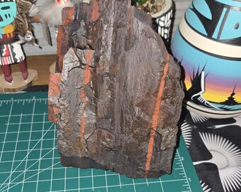 7lb Arizona Jasper Mineral Sample: Red Natural Cleaned Semi-Precious Stone Display Piece from the Black Hills Mountains
