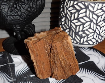 14oz Petrified Wood: Natural Large Stone Mineral Semi-Precious Fossil Display Piece from Northern Arizona with Quartz Crystals