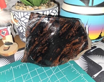 13.5oz Black and Brown Obsidian Volcanic Glass Sample from Wickenburg, Arizona: Raw Mineral Display Sample
