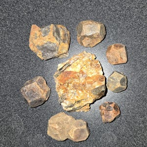 May include: A collection of eight brown and black crystals, some with a rough texture and others with a smooth surface. The crystals are arranged on a gray surface.