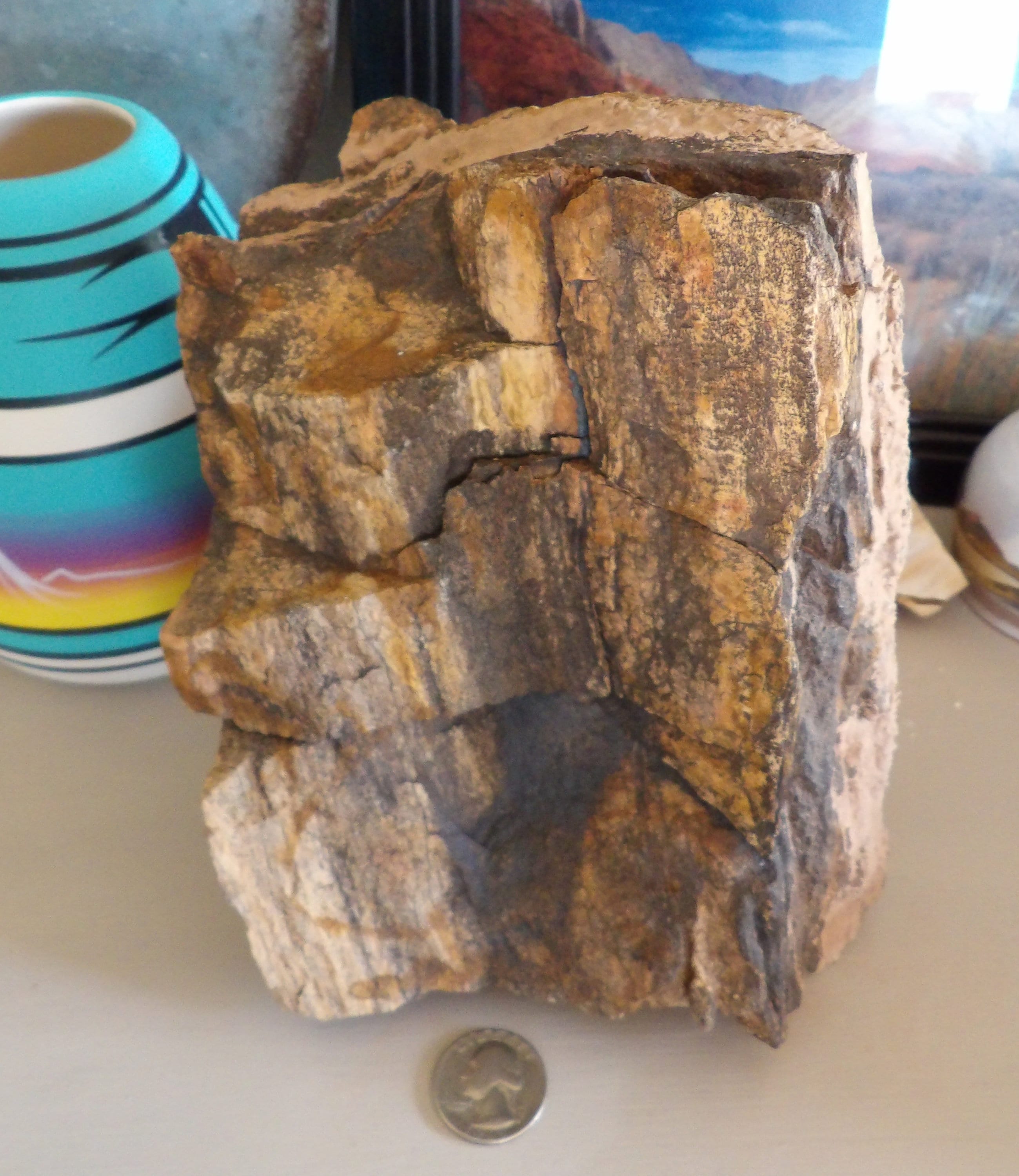 5.75 Lb Petrified Wood: Natural Large Stone Mineral Semi