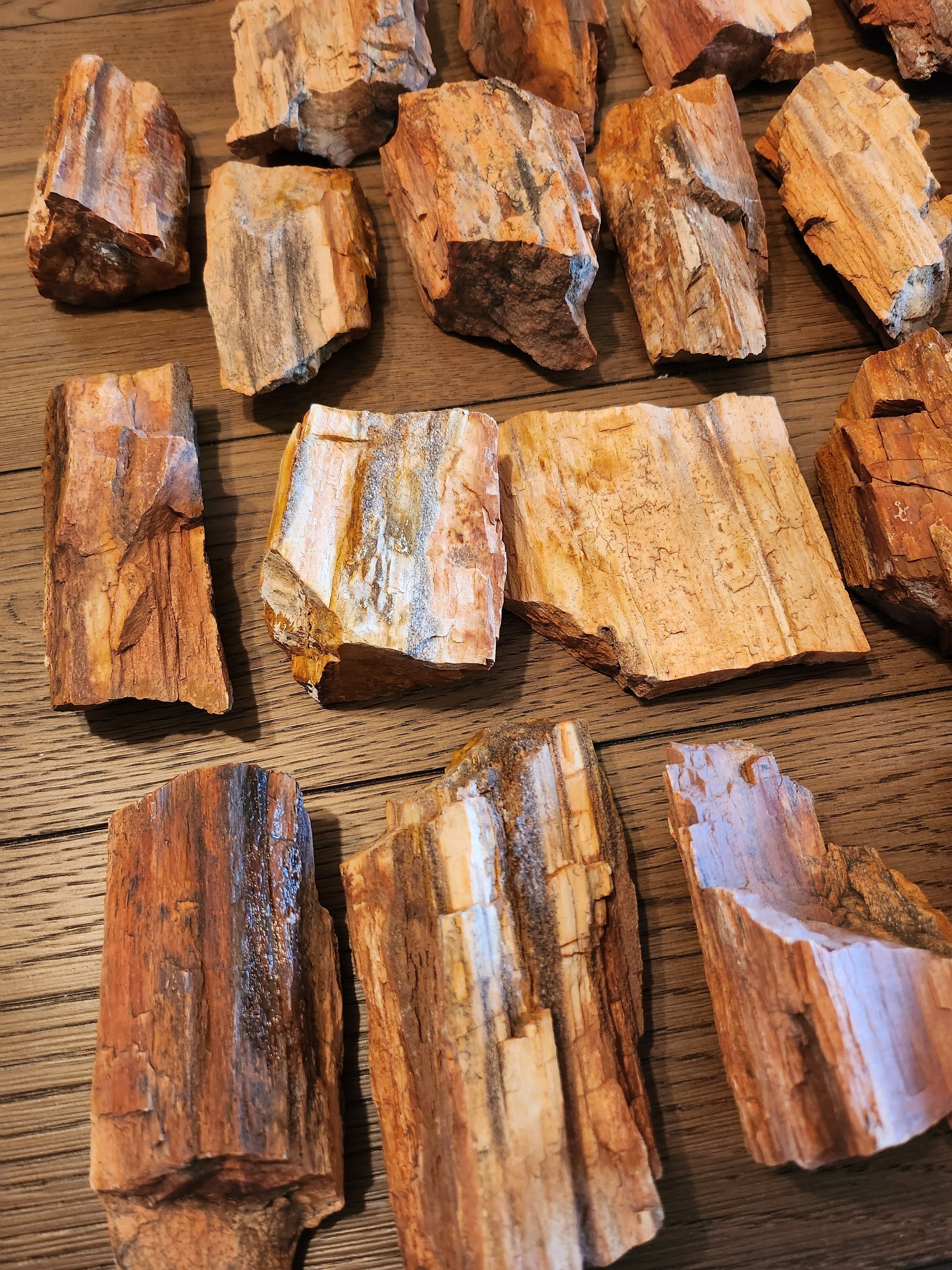 10-12 Oz Beautiful Raw Natural Petrified Wood Sample From 10-12 Oz Beautiful Raw Natural Petrified Wood Sample From