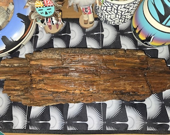 9lb Petrified Wood: Natural Large Stone Mineral Semi-Precious Fossil Display Piece from Northern Arizona