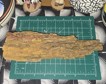 1.5lb Petrified Wood: Natural Large Stone Mineral Semi-Precious Fossil Display Piece from Northern Arizona
