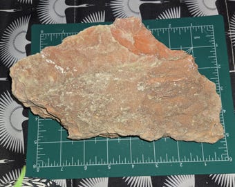 2.6 lb Alabaster Sample from Southwest Utah; Natural raw stone for Carving, Display, or Collection