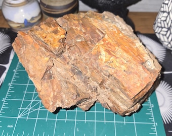 5.5lb Petrified Wood: Natural Large Stone Mineral Semi-Precious Fossil Display Piece from Northern Arizona