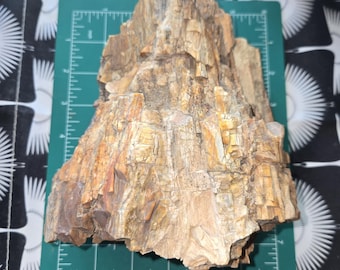 5.75 lb Petrified Wood: Natural Large Stone Mineral Semi-Precious Fossil Display Piece from Northern Arizona with Quartz Crystals
