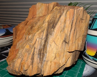 10.5lb Petrified Wood: Natural Large Stone Mineral Semi-Precious Fossil Display Piece from Northern Arizona