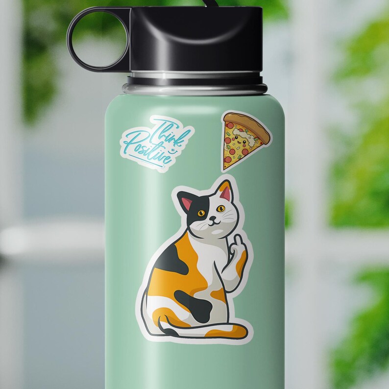 Cat Flipping off Middle Finger Sticker Meme Stickers Funny Sticker for