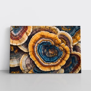 Colorful Mushroom Rings on Framed Canvas Wall Art Print | Earthy Fungi, Natural Decor, Wildcrafter Forager Mycology Gift for Nature Lover