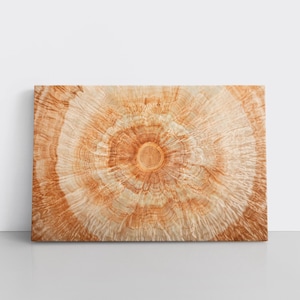 Arte de parede em tela com moldura de anéis de toco de árvore em madeira bege e marrom | Decoração rústica moderna e moderna para chalé, natureza, sala de estar nórdica com toques terrosos