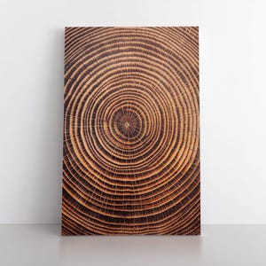 Impressão de arte de parede em tela com moldura de anéis de toco de árvore natural | Decoração de chalé rústico marrom moderno e moderno em madeira, natureza, marrom terroso e nórdico, sala de estar