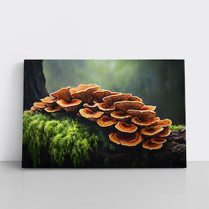 Mushrooms Fungi Painting on Framed Canvas Wall Art Print | Earthy Forest Natural Decor, Wildcrafter Forager Mycology Gift for Nature Lover