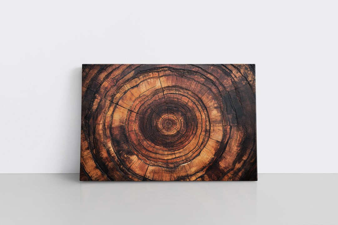 Wood Tree Stump Rings Framed Canvas Wall Art Print | Natural Modern ...
