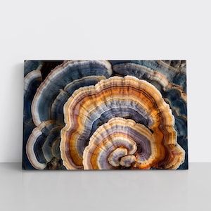 Mushroom Rings on Framed Canvas Wall Art Print | Earthy Forest Fungi, Natural Decor, Wildcrafter Forager Mycology Gift for Nature Lover