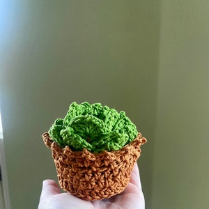 Handcrafted Crochet Coaster Set: Convertible Succulent Pot Included