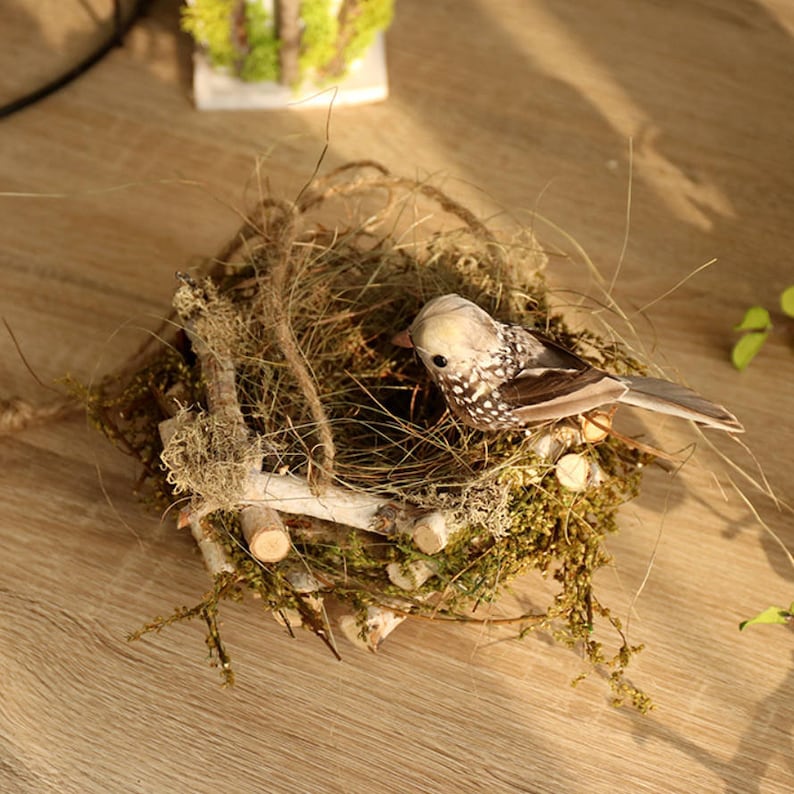 Wooden Hanging Bird Nest Bird Feeder Bird Box Garden Etsy