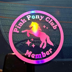 Pegatina de Pink Pony Club / Pegatina LGBTQ / Pegatina de princesa del Medio Oeste / Buena suerte, nena / Pegatina para parachoques LGBTQ / Pegatina Girlie Pop