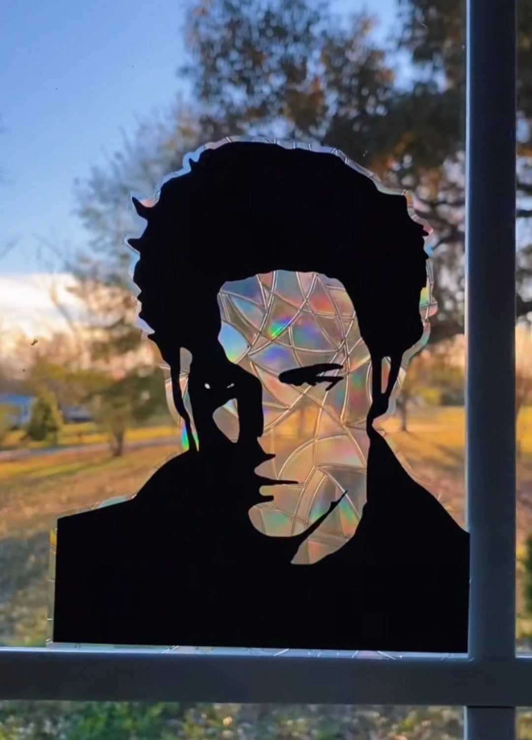 Twilight Movie Suncatcher / Edward Cullen / Renter Friendly / Window