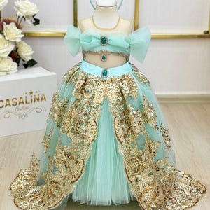 Princess Jasmine Dress | Aladdin Theme Costume | Baby Girl Dress | Princess Jasmine Costume | Ball Gown for Flower Girl