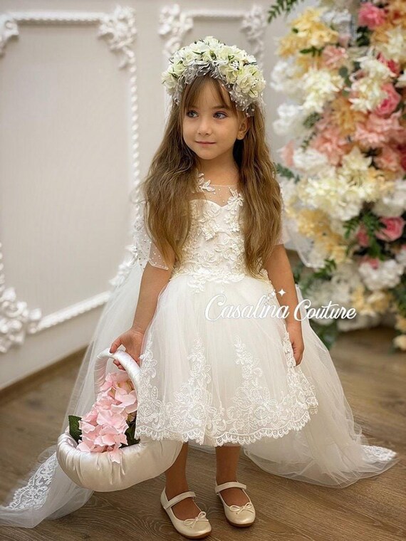 chinese dress ladies Luxury Pink Girl Dress Handmade Flowers Princess Quinceañera J150 main image 1