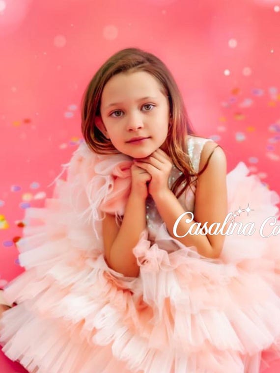 emily pink dress Emily dress, Pink sparkly glitter sequined baby girl dress, Puffy tulle knee-length baby girl dress, Pink flower girl dress for birthday