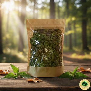 Forest Wildnessel - Handverlesene, 100% natürliche Premium Doy-Packung mit Sichtfenster, kostenloser weltweiter Versand